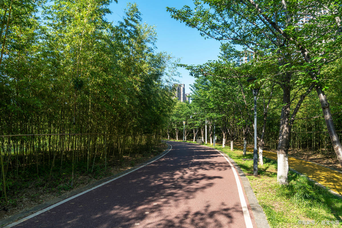 既避免受傷又提升跑步效益 80%的跑者搞錯了! 既避免受傷又提升跑步效益 80%的跑者搞錯了!